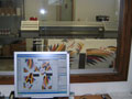 stampa_sublimazione 